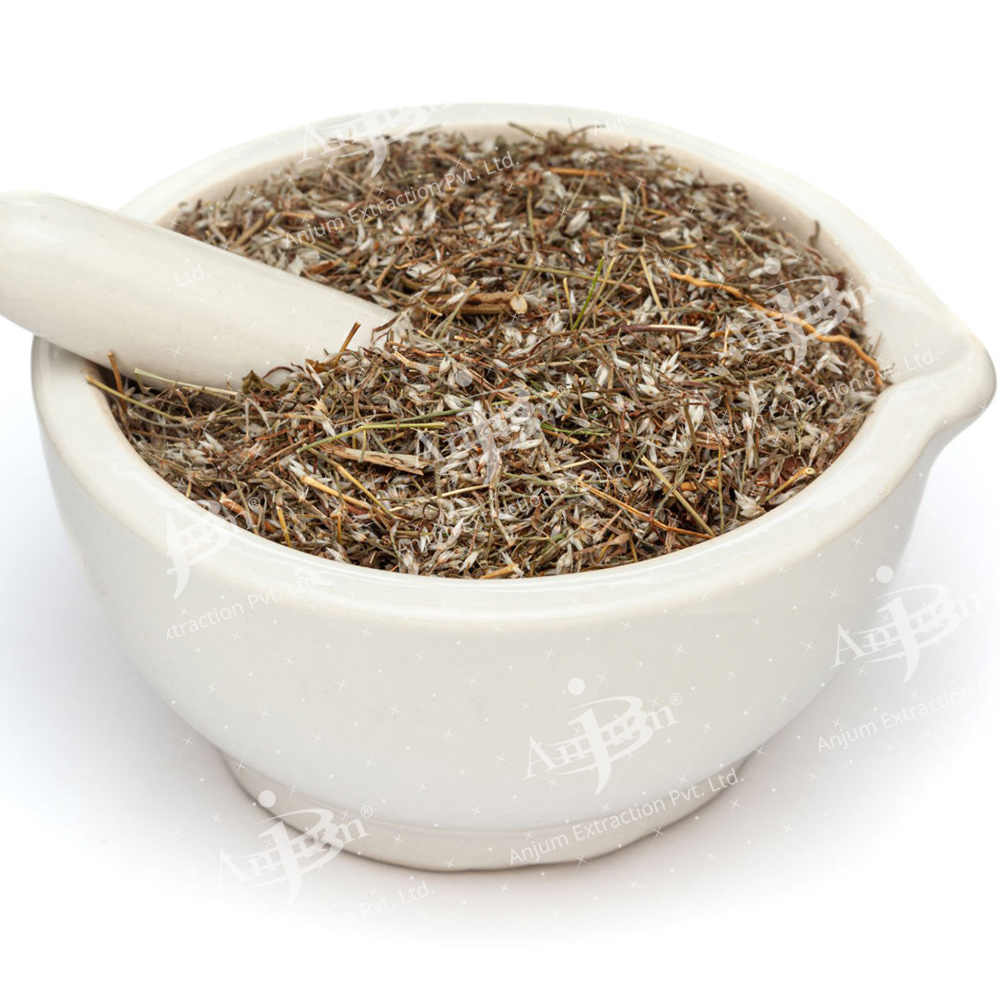 Fumaria officinalis (Pitpapra) Extract