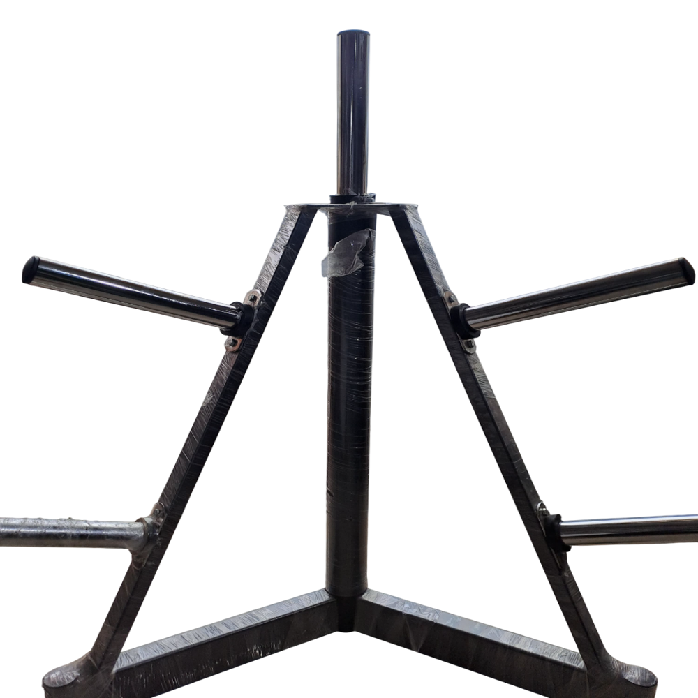 Weight Plate Reck