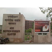 Logo with Flex Board