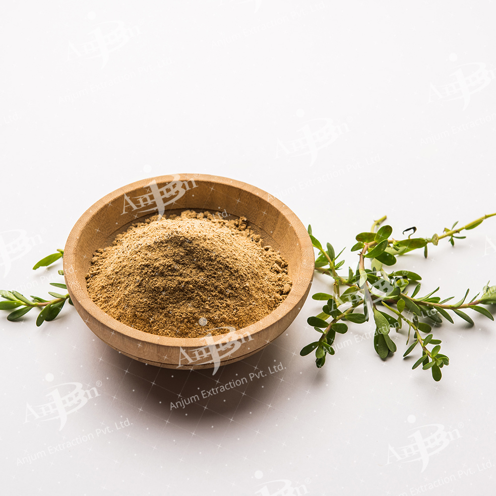 Bacopa monnieri (Jal Brahmi) Extract