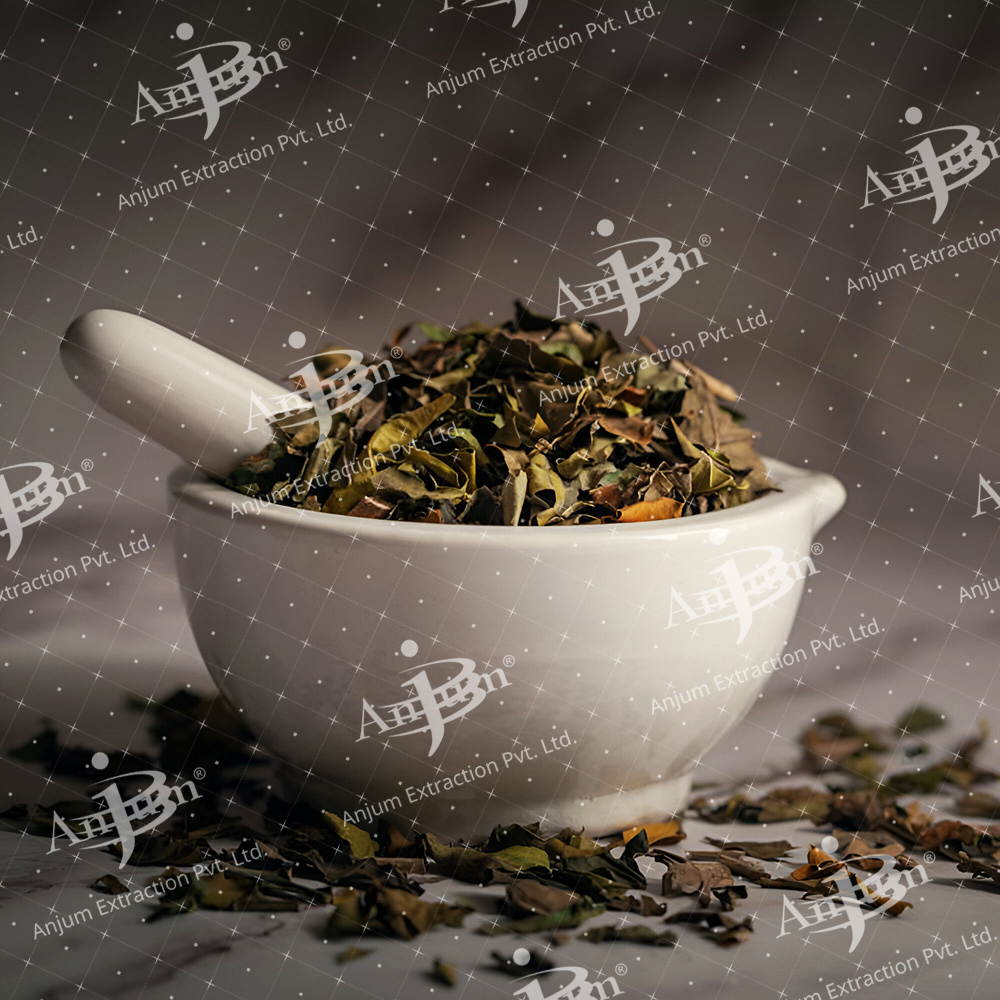 Adhatoda vasica (Adusa) Extract