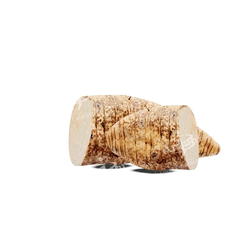 Pueraria Tuberosa (Vidari Kand) Extract - Application: Medicine