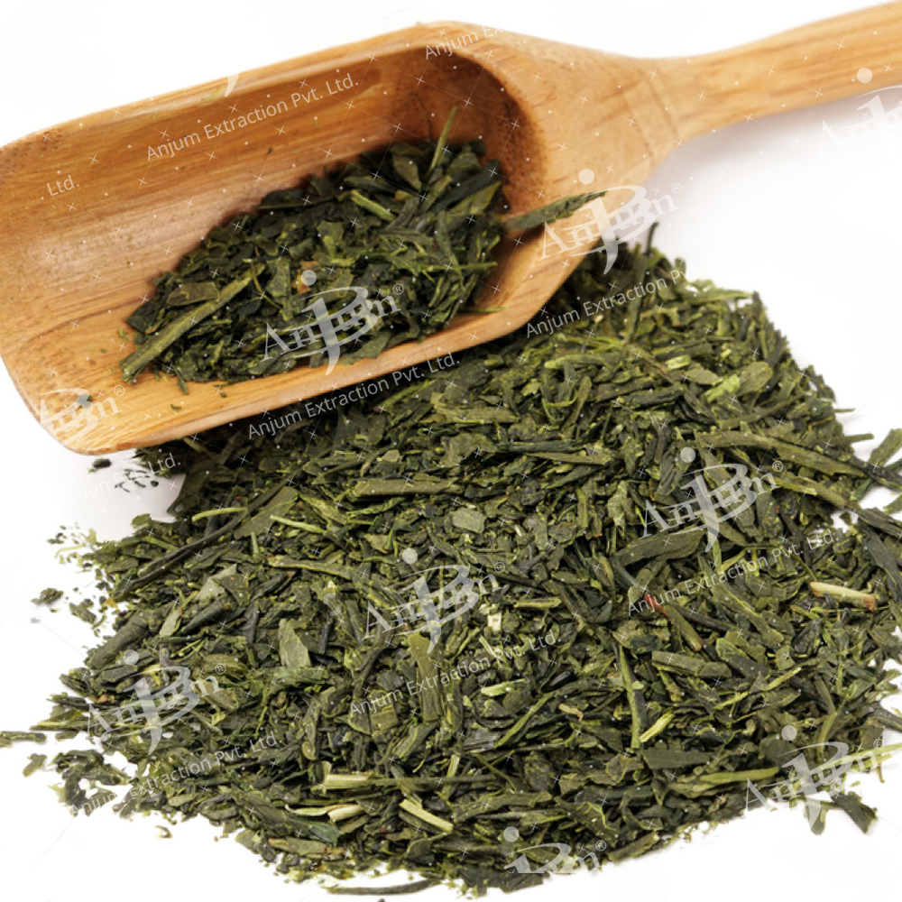 Camelia Sinensis (Green Tea) Extract - Application: Medicine