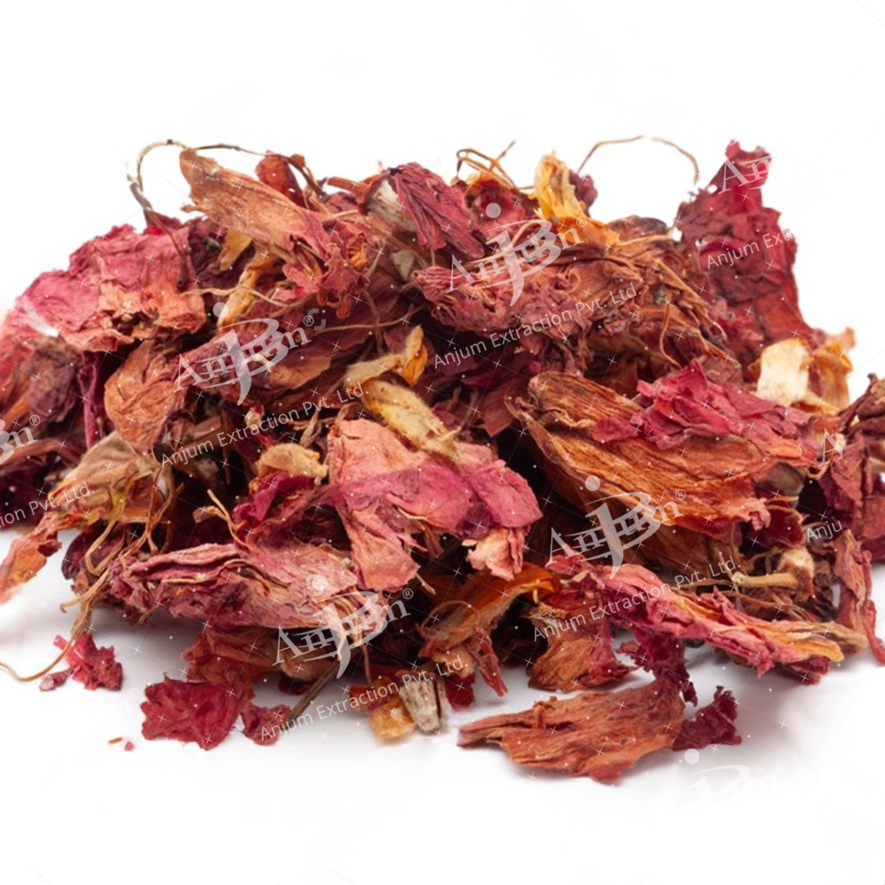 Hibiscus rosa sinensis (Gudhal) Extract