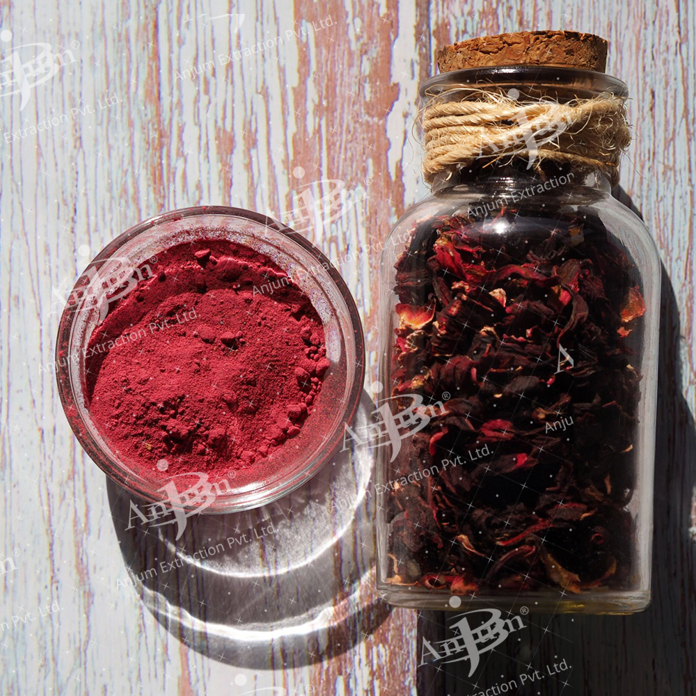 Hibiscus rosa sinensis (Gudhal) Extract