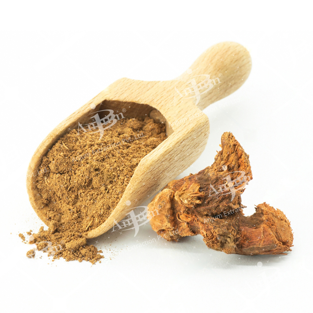 Alpinia galanga (Kulinjan) Extract