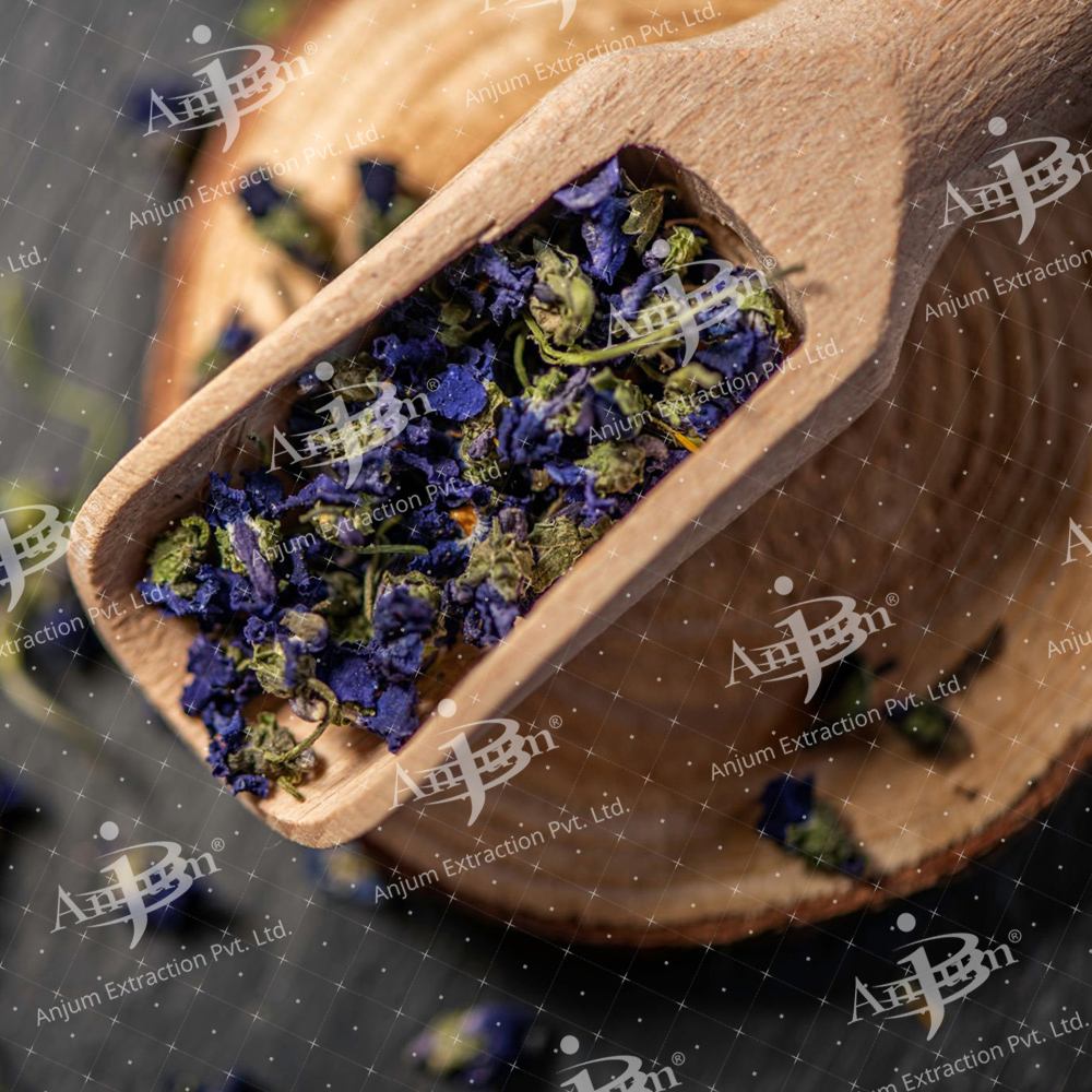 Viola odorata (Banafsha Leaves) Extract