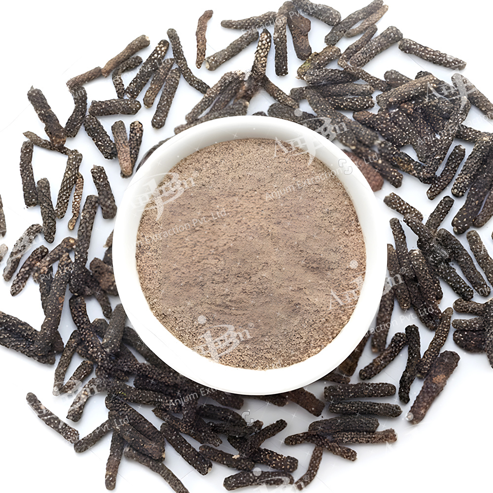 Piper Longum (Piplamool) Extract - Application: Medicine