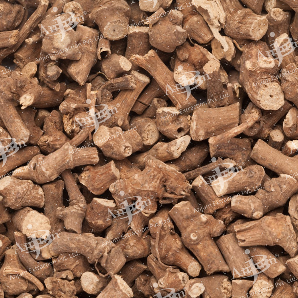Piper Longum (Piplamool) Extract - Application: Medicine
