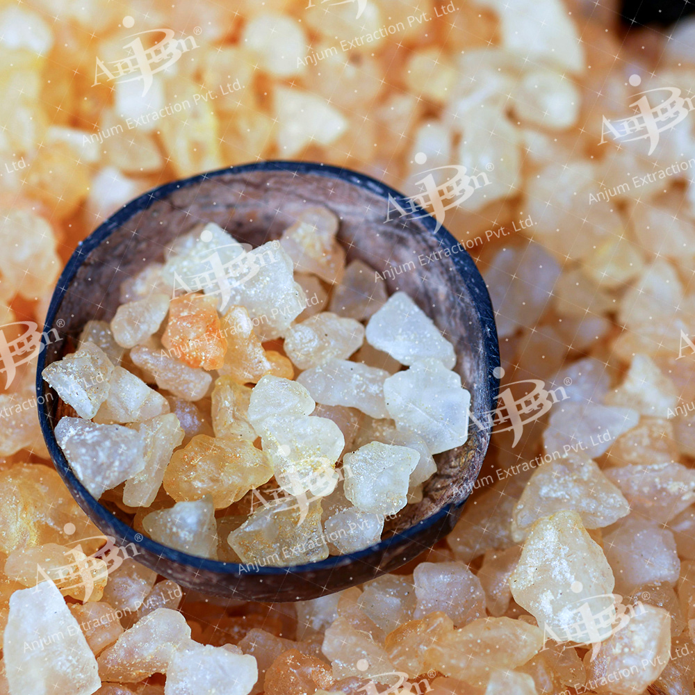 Boswellia serrata (Sallai Guggul) Extract