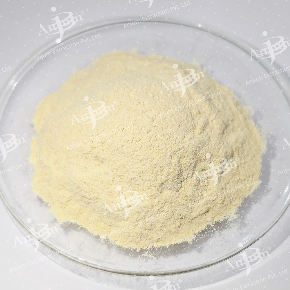 Boswellia serrata (Sallai Guggul) Extract