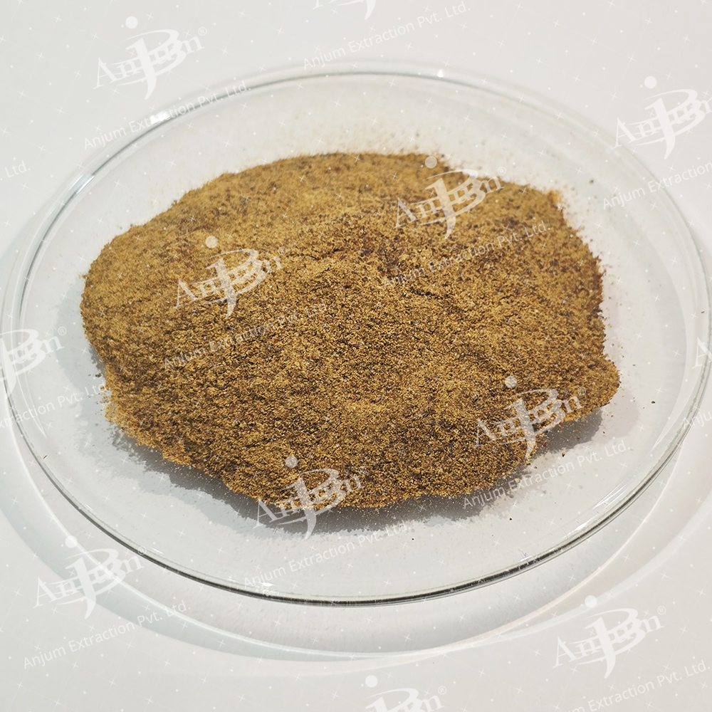 Aloe barbadensis (Gawar Patha) Extract