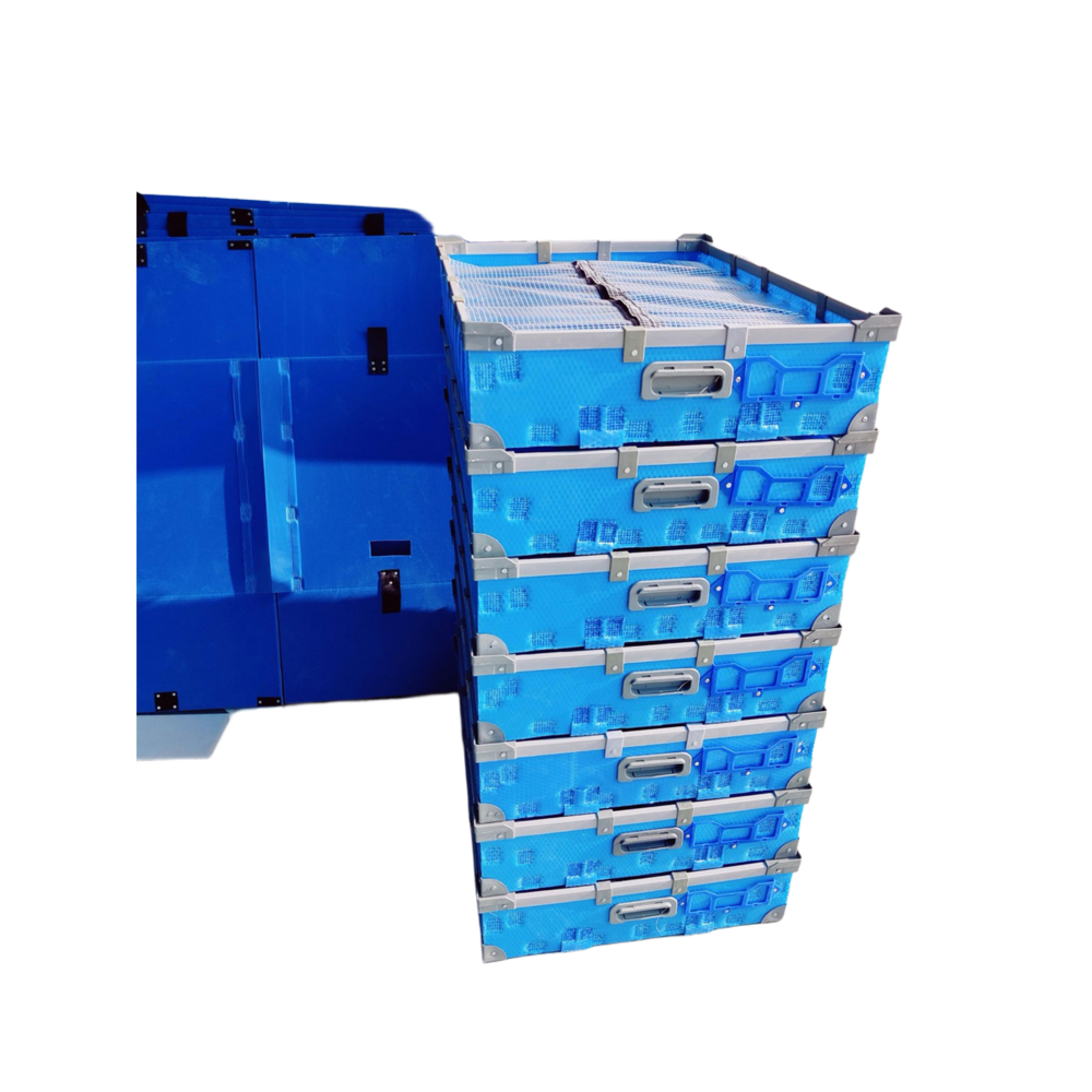 PP Bin