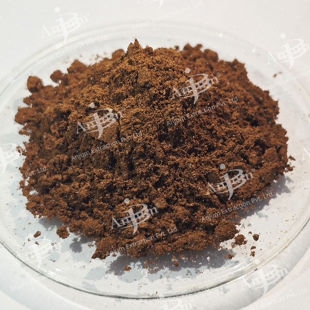 Syzygium aromaticum (Lavanga) Extract