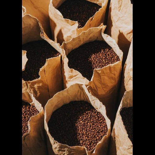 Roasted Coffee Beans - Cultivation Type: Organic