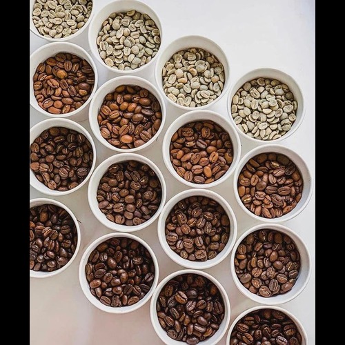 Roasted Coffee Beans - Cultivation Type: Organic