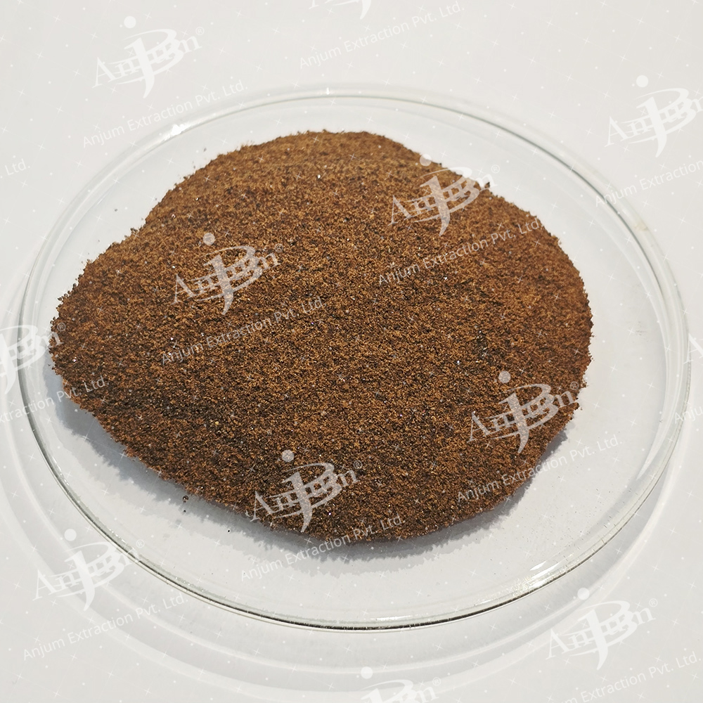 Coriandrum sativum (Dhania) Extract