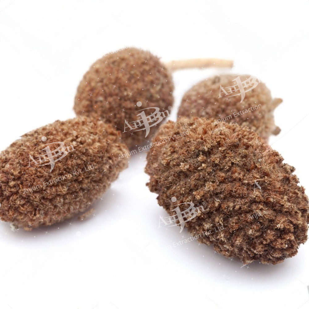 Sphaeranthus Indicus (Gorakhmundi) Extract - Application: Medicine