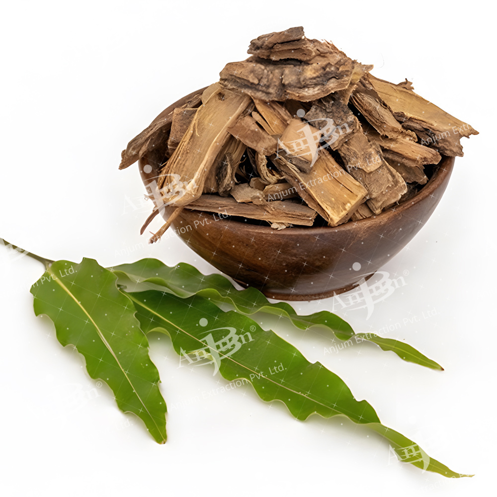 Saraca indica (Ashoka) Extract