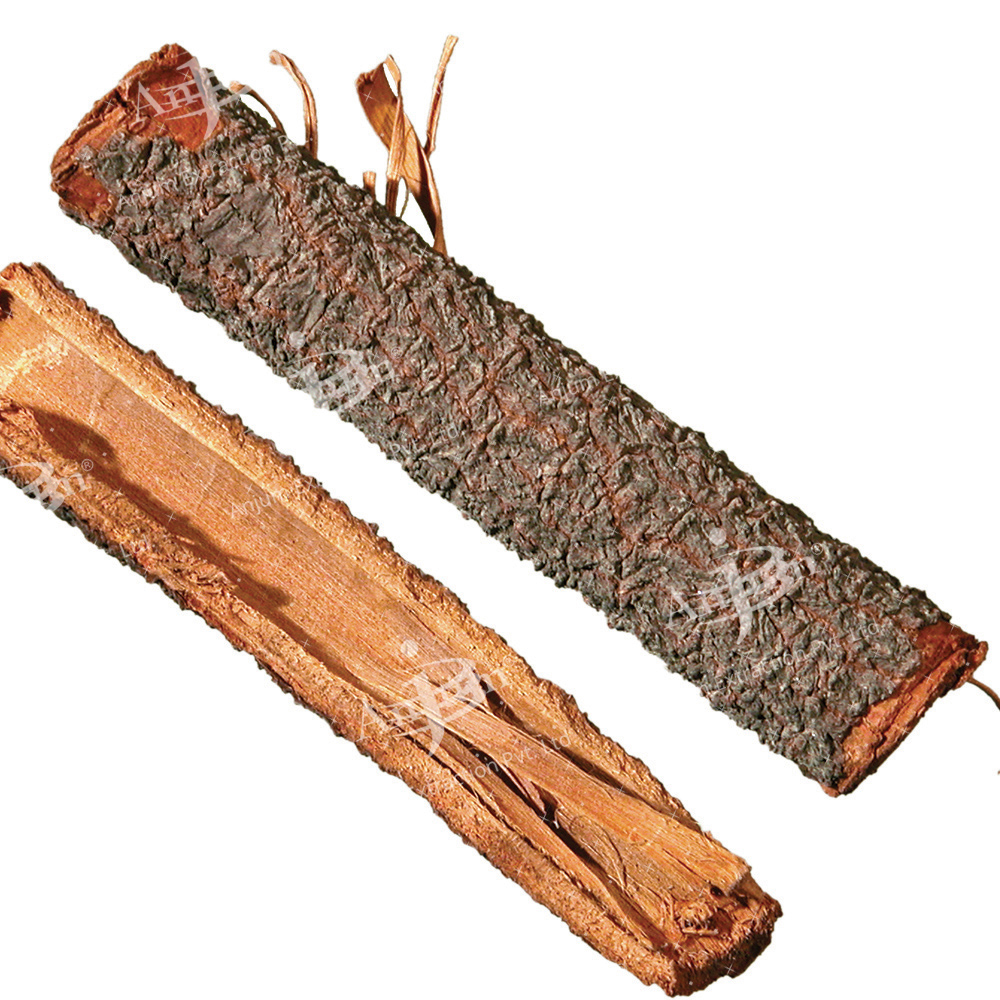 Saraca indica (Ashoka) Extract