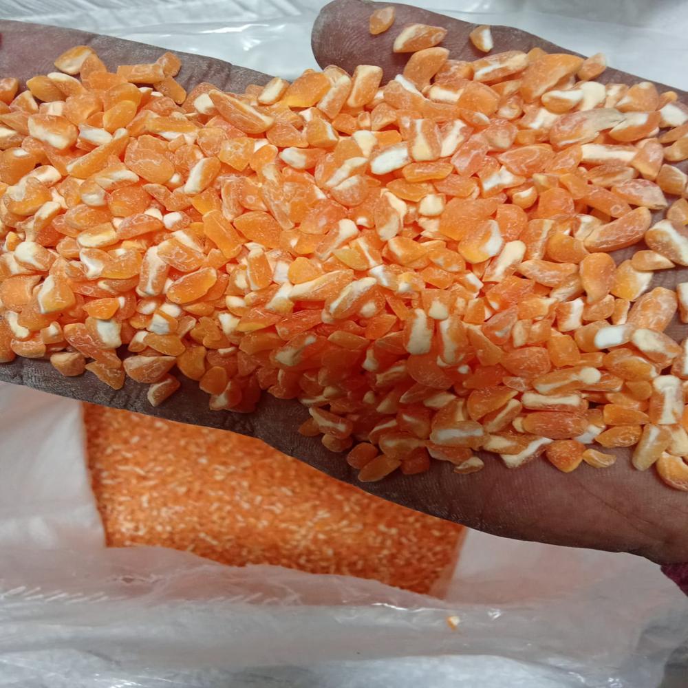 à¤à¥à¤à¤¾ à¤¹à¥à¤ à¤ªà¥à¤²à¤¾ à¤®à¤à¥à¤à¤¾