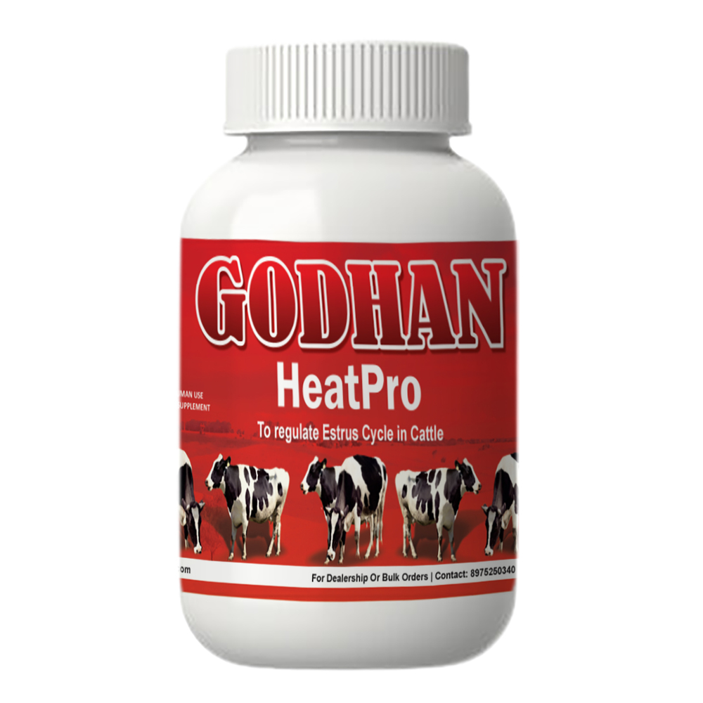Godhan HeatPro (1 KG 750 GM)