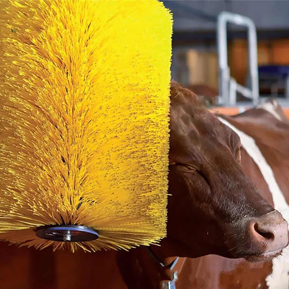 Grooming Brush