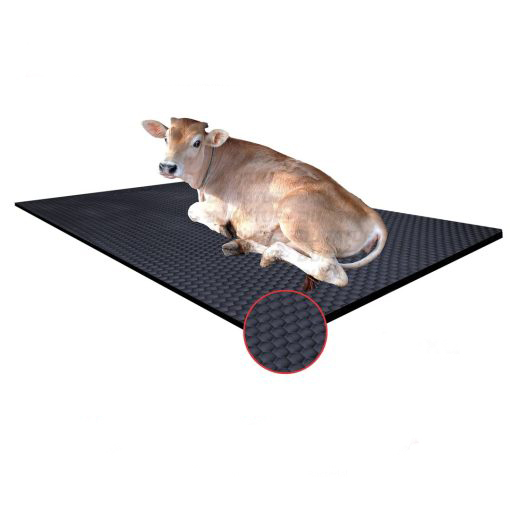Godhan Cow Mats