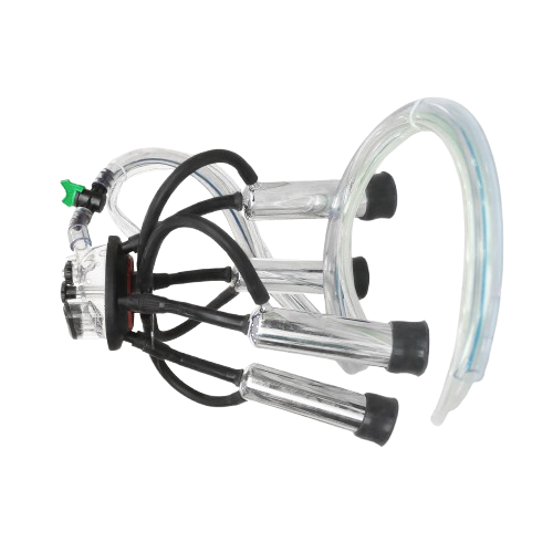 Godhan Cluster Assembly - Color: Transparent