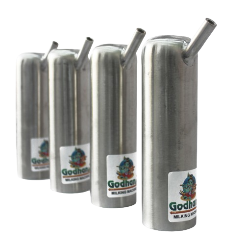 Godhan Shell - Color: Silver