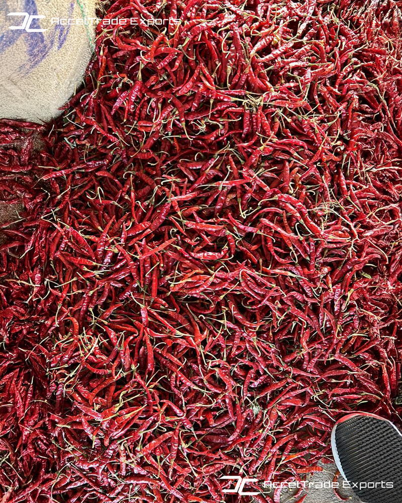 Dry Red Chilli - Grade: Food Grade