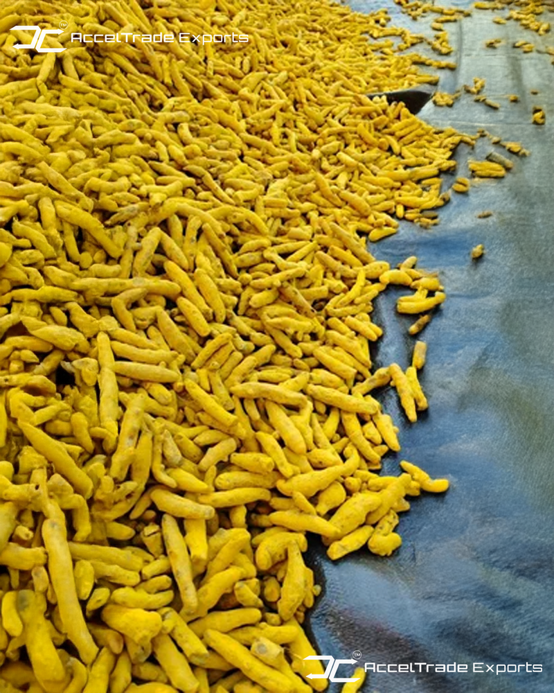 Turmeric Finger - Grade: Food Grade