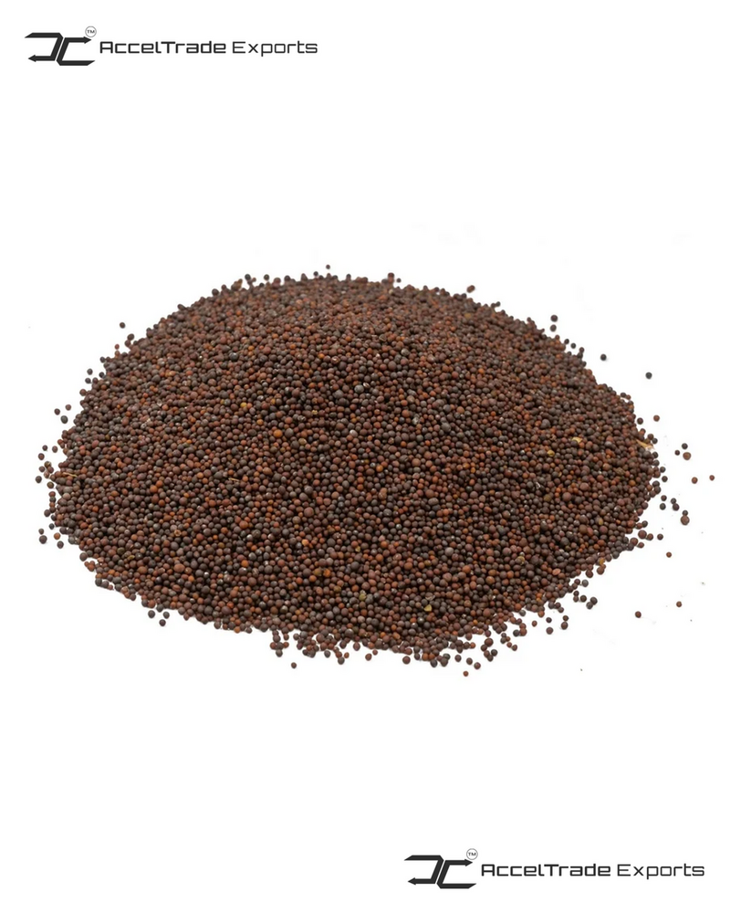 Black Mustard Seeds - Cultivation Type: Common