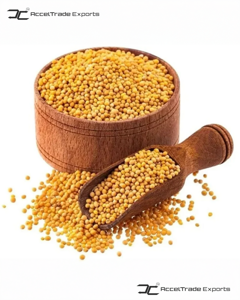 Yellow Mustard Seeds