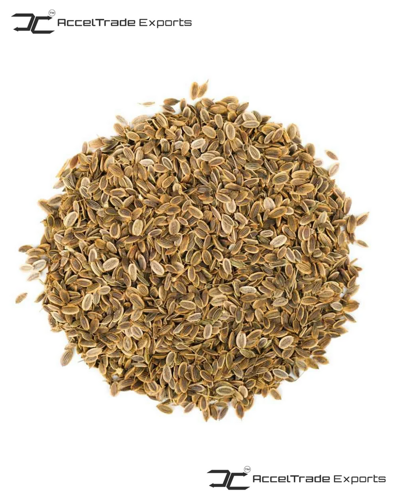 Dill Seeds - Cultivation Type: Common