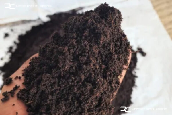 Cocopeat Compost