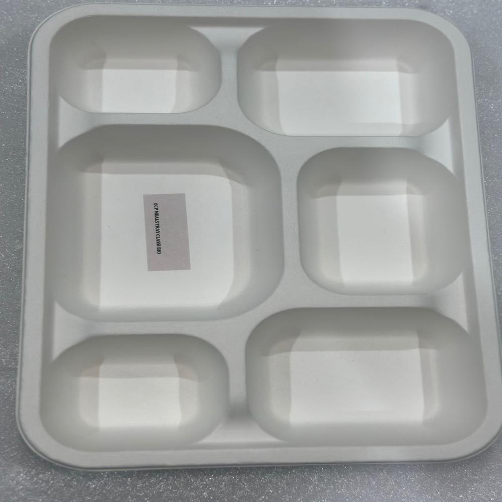 Disposable Sugarcane Bagasse CP TRAY 6