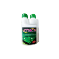 Attach Silicon Base Wetting Agent