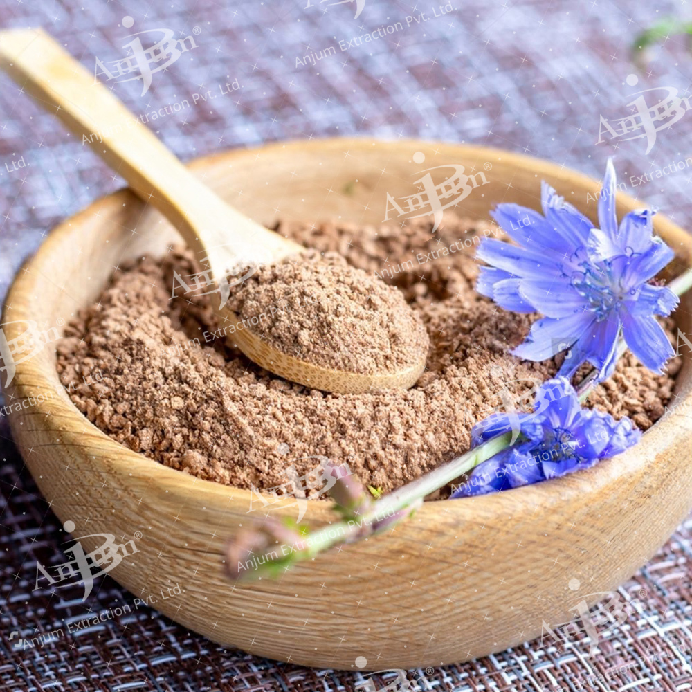 Cichorium Intybus (Kasni Beej) Extract