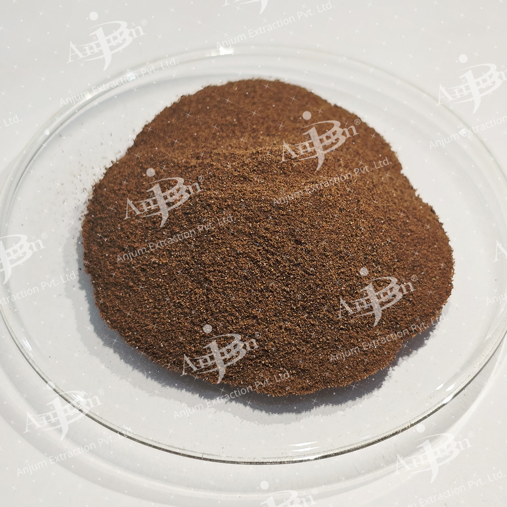 Cichorium Intybus (Kasni Beej) Extract - Application: Medicine