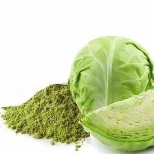 Cabbage Powder - Aroma: Fresh