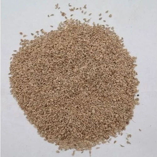 Caromseeds Powder