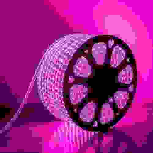 ROPE LIGHT PINK