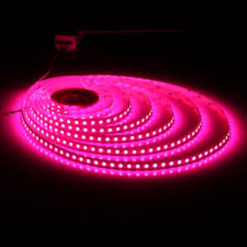 LED STRIP PINK