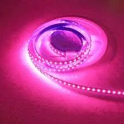 LED STRIP PINK
