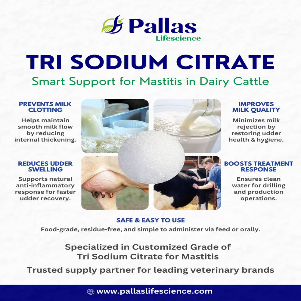 Tri Sodium Citrate for Mastitis
