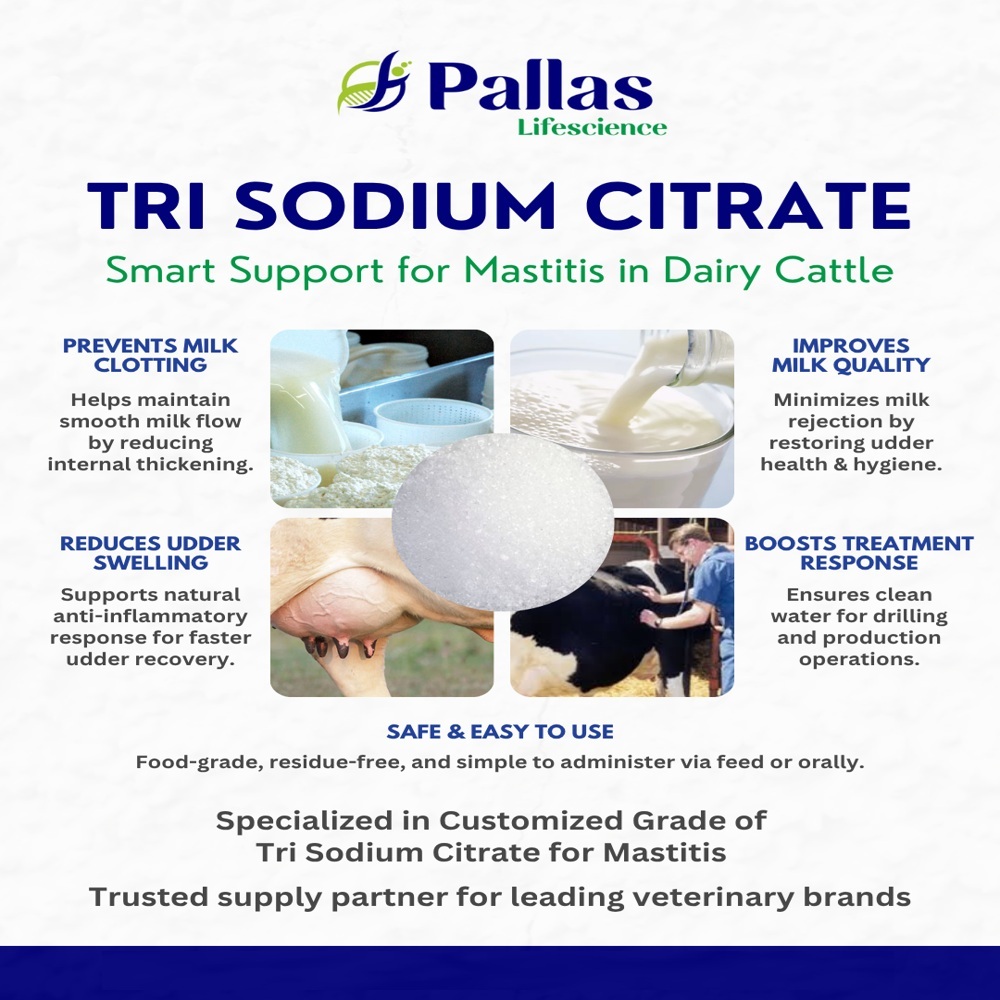 Tri Sodium Citrate for Mastitis