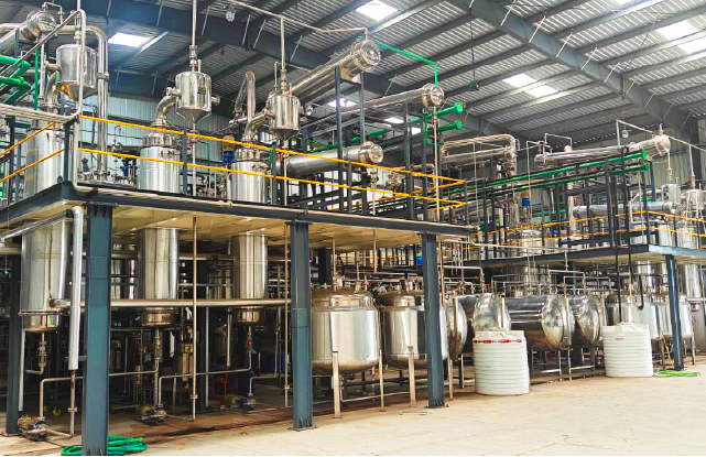Andrographis Paniculata Herbal Extraction Plant - Capacity: 2 To 6 Ton