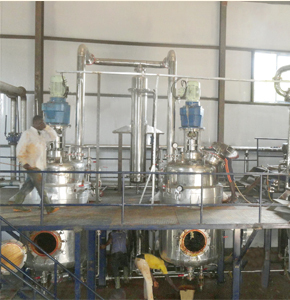 Bixin Extraction Plant