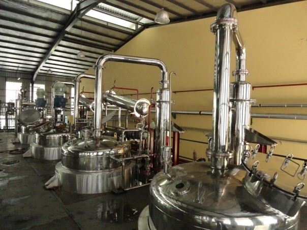 Curcumin Herbal Extraction Plant - Capacity: 4 Ton